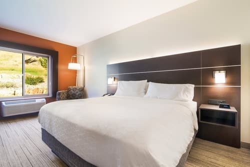 Holiday Inn Express Hotel & Suites Custer by IHG, Room