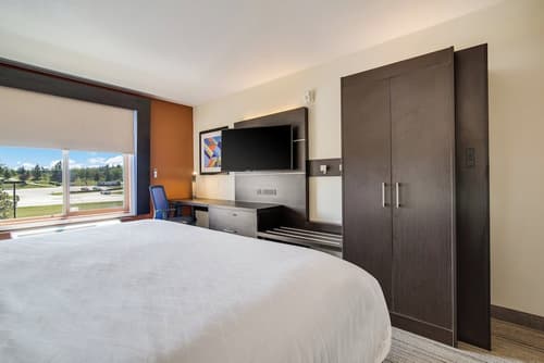 Holiday Inn Express Hotel & Suites Custer by IHG, Room