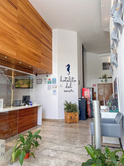 Hotelito del Mar, Reception