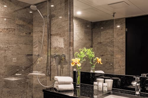 Astoria Lucerne, Bathroom