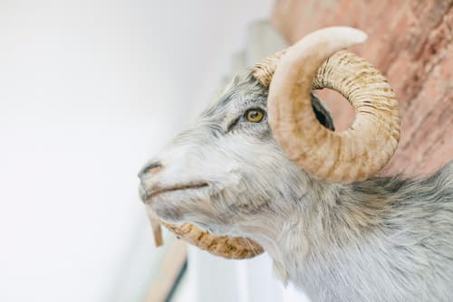 The Publishing House B&B, Room