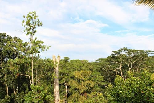 e-stay Hanthana Kandy, Exterior