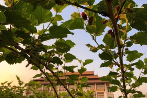 The Choice Hotel - Adults Only, Property grounds