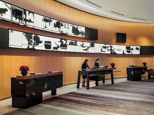 Novotel Suites Ambassador Seoul Yongsan - Seoul Dragon City, Reception