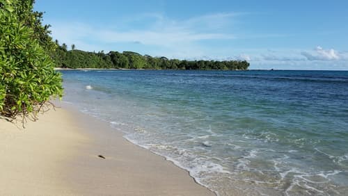 The Orchard Holiday Home, Beach