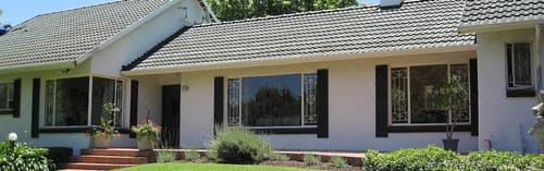 The Pecan Tree, Primary image