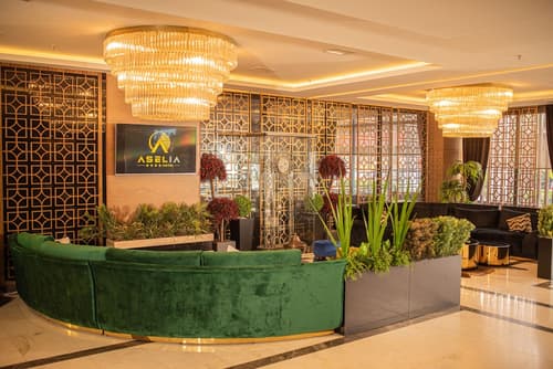 Aselia Hotel Trabzon, Lobby sitting area