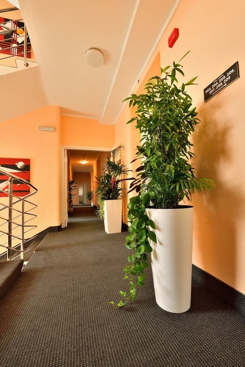 Hotel Orient Zagreb, Reception