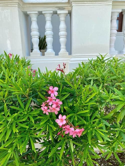 Tecnohotel Casa Villamar, Exterior