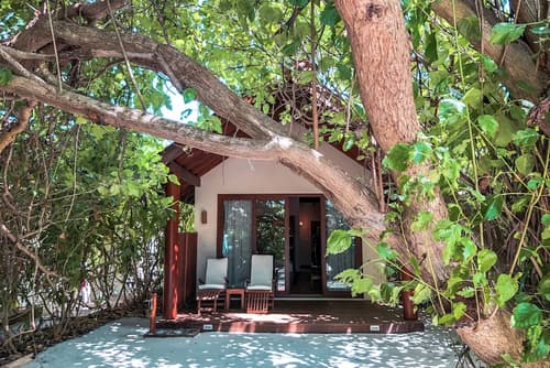 Reethi Faru Resort - Stay 5 Nights or more & Enjoy a Free Sunset Cruise, Room