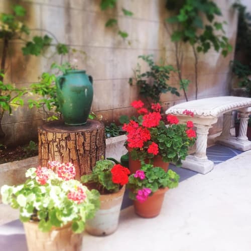 Ali Bey Konagi, Property grounds