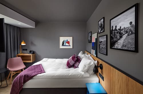 Mývatn - Berjaya Iceland Hotels, Room