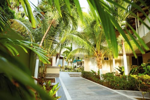 Hotel Isla Bonita, Garden