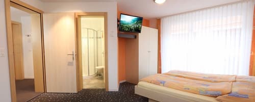 Apparthotel Feehof Saas-Fee, Room