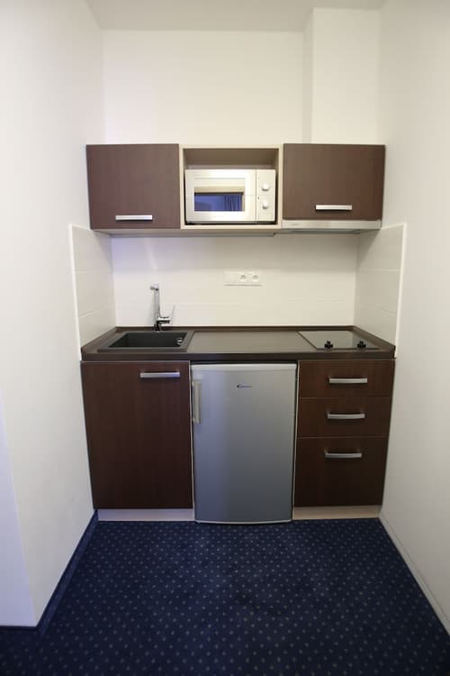 Wellness Penzion U Gigantu, Private kitchenette