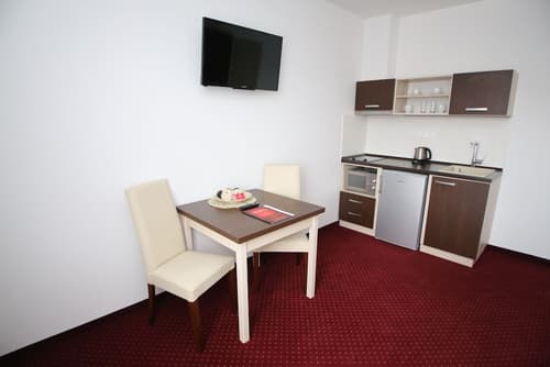 Wellness Penzion U Gigantu, Private kitchen