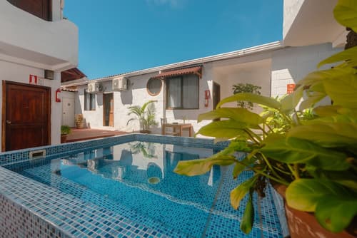 Hostal North Seymour, Pool