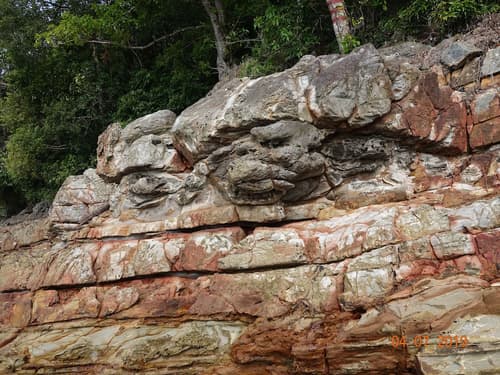 The Room Concept Homestay, Children's activities