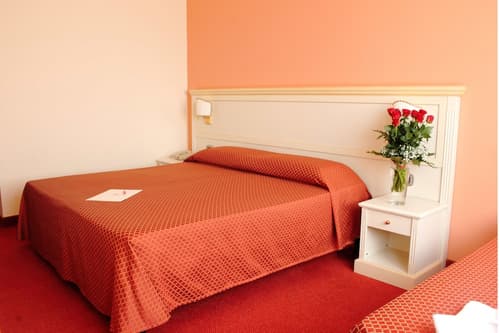 Semiramide Palace Hotel, Room