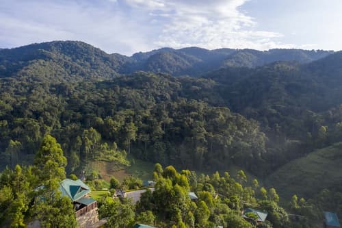 Rushaga Gorilla Lodge, Reception