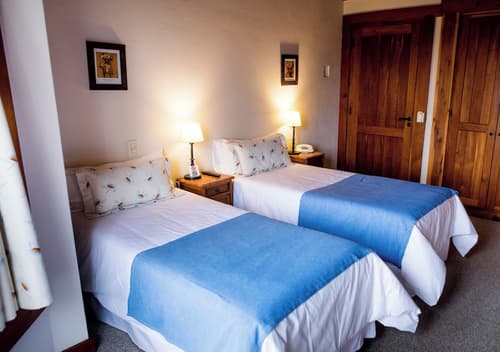 El Bosque by DOT Tradition, Room