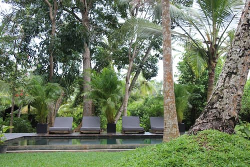 KAJU GREEN eco lodges, Pool