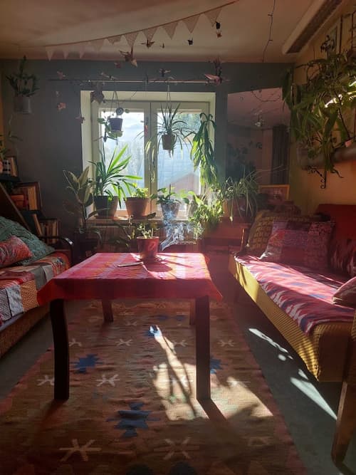 Looming Hostel, Primary image