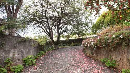 Quinta das Malvas, Property grounds