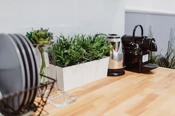 Leo Apartments Main Square, Lobby