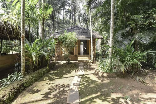 Dudhsagar Plantation, Terrace/patio