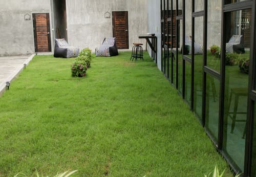 The Simple Koh Yao Noi, Garden