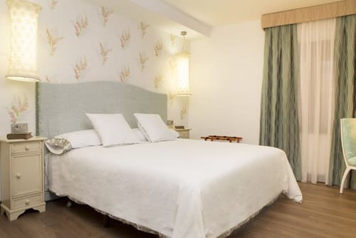 Hotel Hierbaluisa, Room