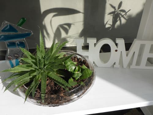 visitHOMES Faroe Islands, Lobby