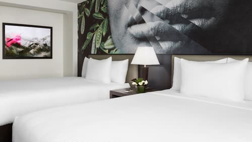 Studio Allston Hotel, Room