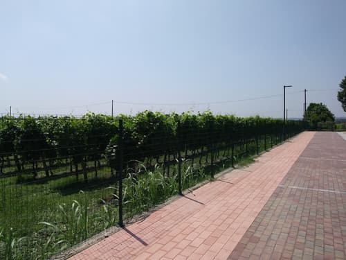 Stella del Garda, Parking