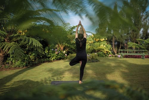 Plataran Bromo, Yoga