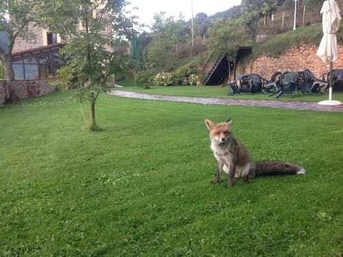 Hostal Rural La Calera, Property grounds