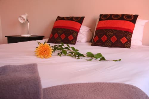 Dunedin Star Guesthouse, Room