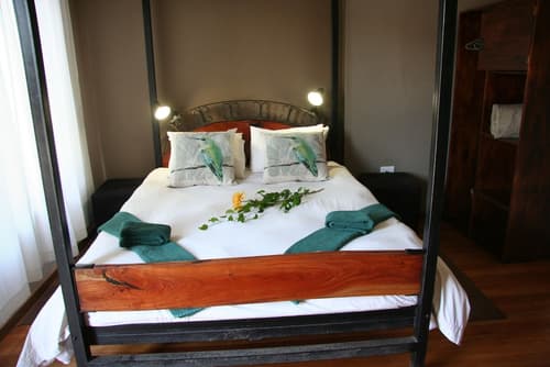 Dunedin Star Guesthouse, Room