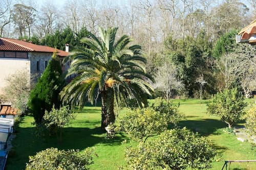 Posada La Casa del Organista, View from property