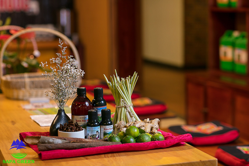 Sapa Green Hotel, Spa treatment