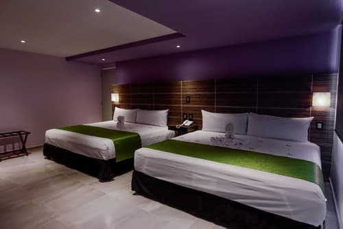 Hotel Kavia Cancun, Room