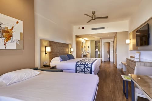 Hotel Riu Palace Baja California - Adults Only - All Inclusive, Room
