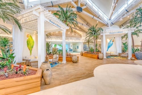 Margaritaville Resort Orlando, Lobby