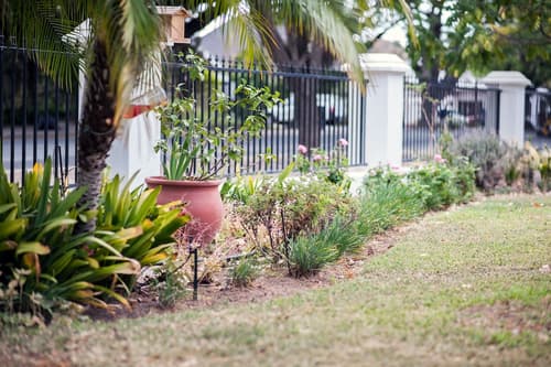 Petal's Place Guest House, View from room