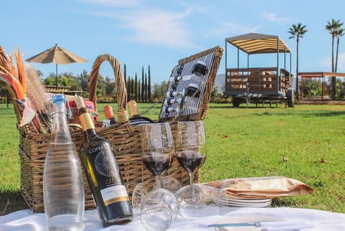 El Cielo Resort, Reception