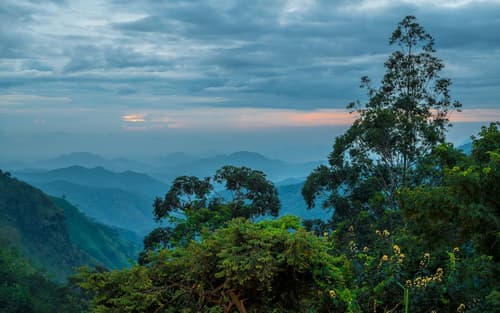 EKHO Ella, View from property