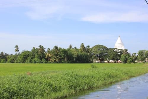 Leisure Villa, Property grounds