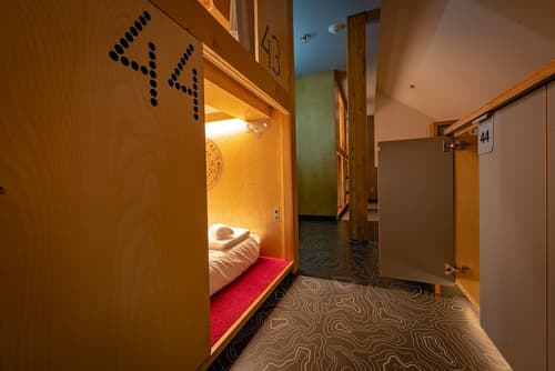 Pangea Pod Hotel, Room