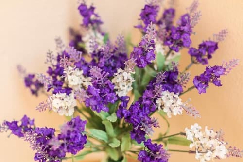 Casa Turistica La Torre, Interior detail